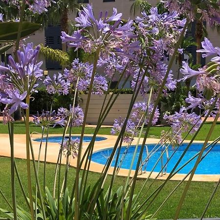 Apartment De Jardines Denia Exterior foto